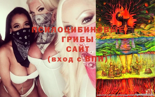 трава Беломорск