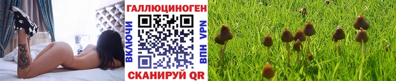 Галлюциногенные грибы Psilocybine cubensis  Реж 